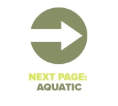Next Page Aquatic