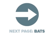 Next Page Bats
