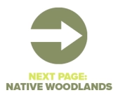 Next Page Native Woodlands