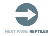 Next Page Reptiles