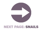 Next Page Snails.jpg