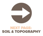 Next Page Soil and Topography