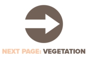 Next Page Vegetation
