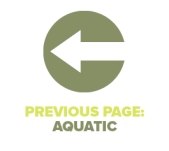Previous Page Aquatic Veg