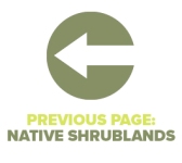 Previous Page Native Shrublands
